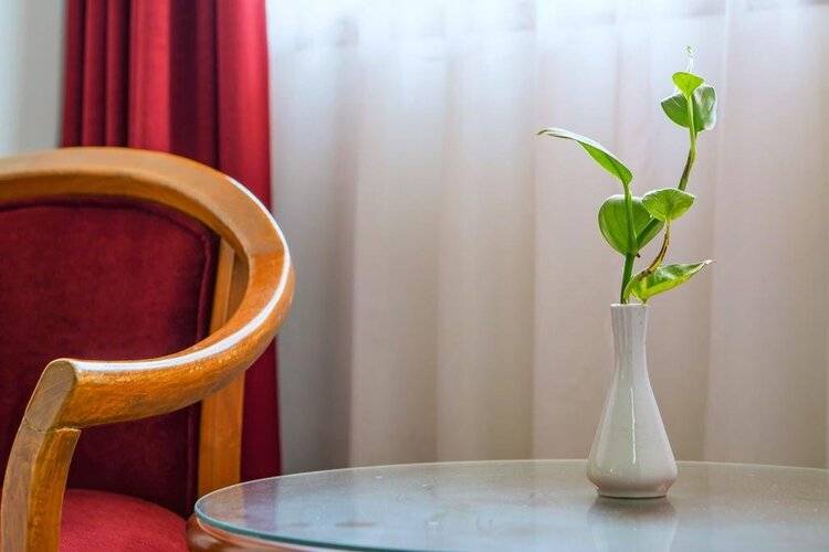 Sofyan Hotel Cut Meutia