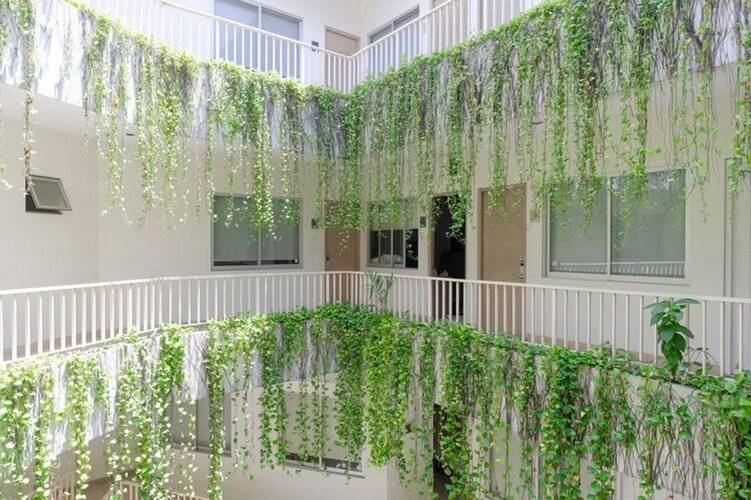 Legreen Suite Penjernihan
