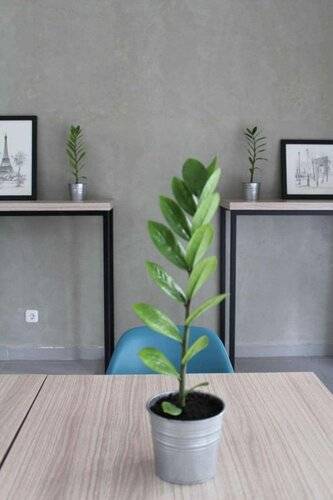 Casa Living Setiabudi Jakarta