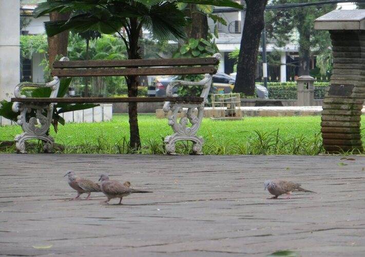 Juno Jatinegara Jakarta