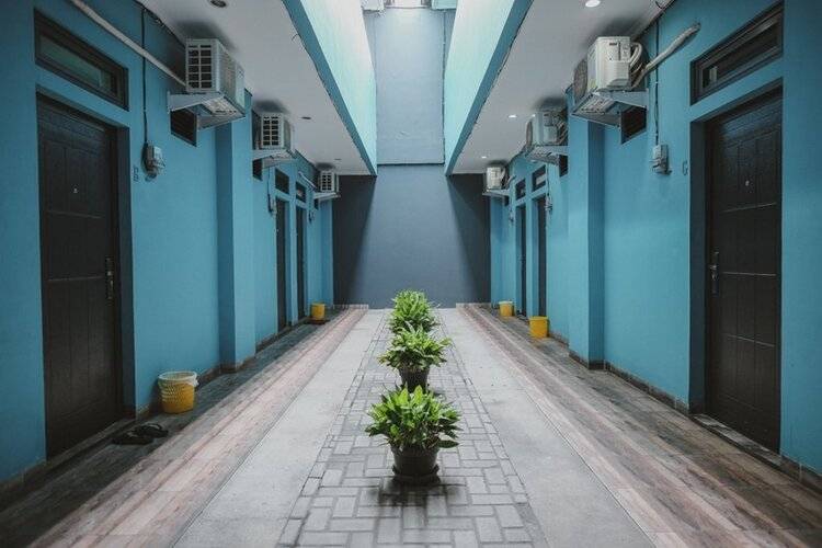 Reddoorz Near Rsud Koja