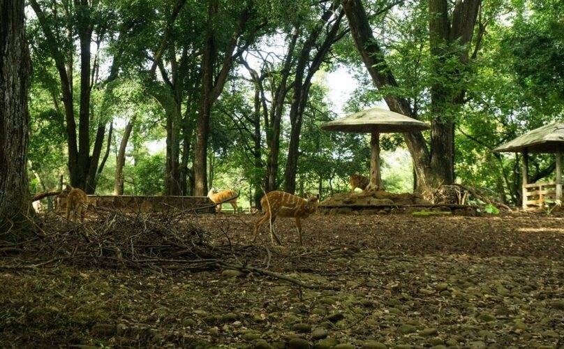 Reddoorz Premium Near Ragunan Zoo 2