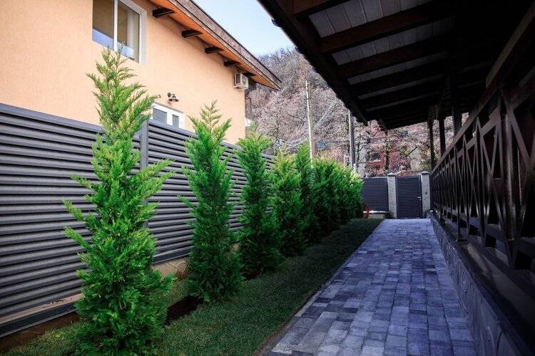 Панорама Ачишхо