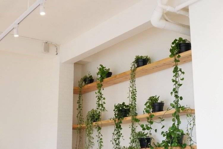 La Boheme Rooms And Coffee