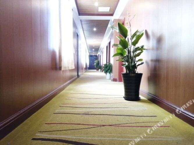 Super 8 Hotel