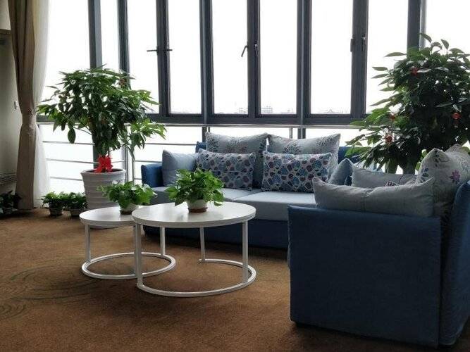 Greentree Inn Shanghai Jinshan District Wanda Plaz
