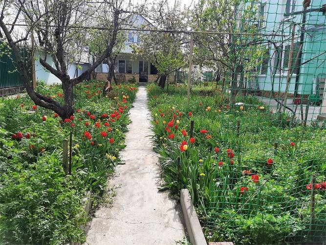 Мини Апарт-Отель Тамара