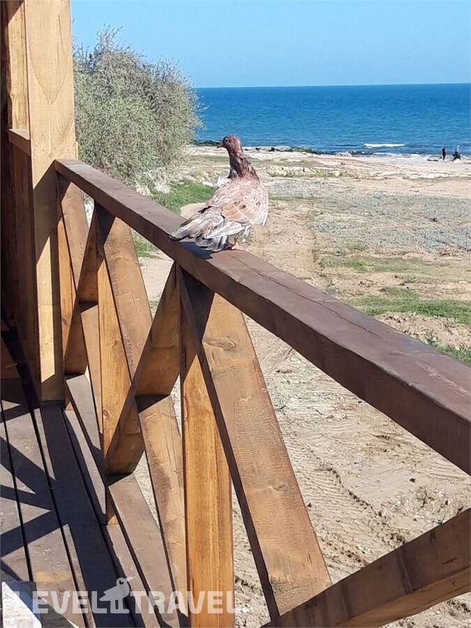 Изображение отеля 41