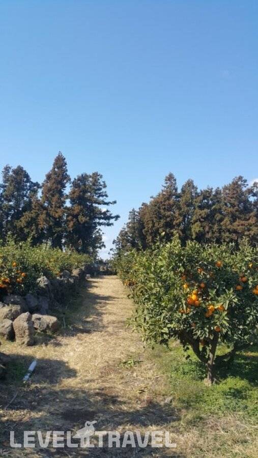 Изображение отеля 6