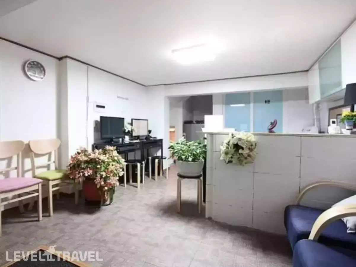 Seoul Mansion Guest House