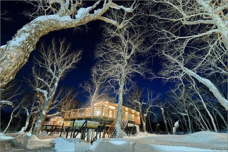 Kamchatka Forest Lodge