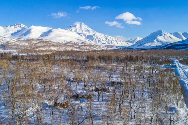 Kamchatka Forest Lodge