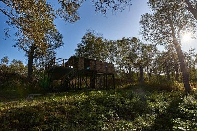 Kamchatka Forest Lodge