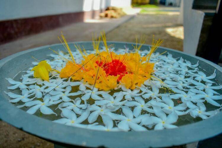 Aliya Aliya Hikkaduwa