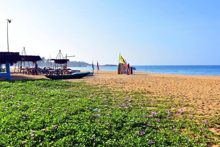 Aliya Aliya Hikkaduwa
