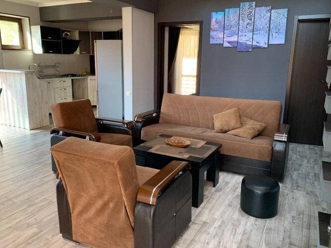 Вилла Astoria Bakuriani