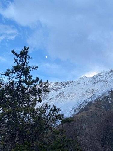 Отель Gold Kazbegi — фото 19