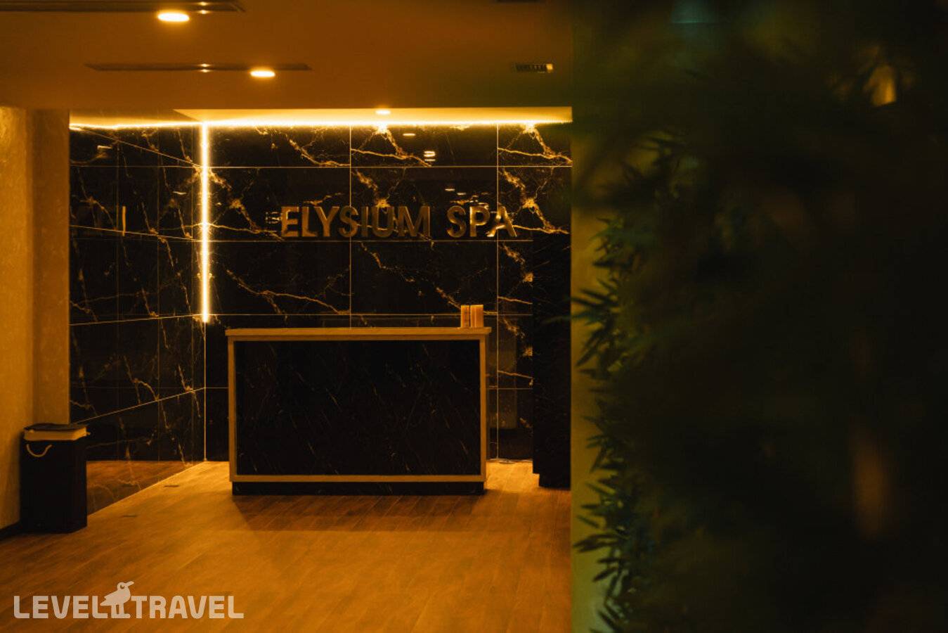 фотографии отеля Бутик-Отель Villa Elysium Park & Spa в Грузия(Батуми) - фото №25