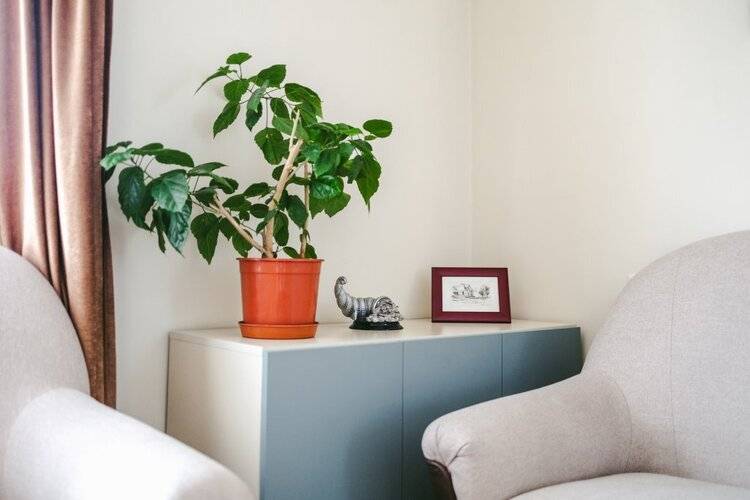 Апартаменты 1br Apt/City Centre/Near Matenadaran/By Keygo 9