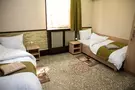 Отель Asa