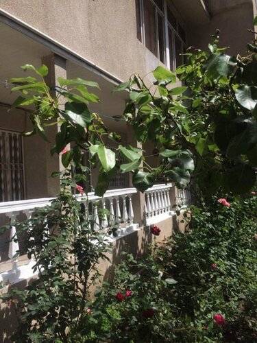 Апартаменты Classic Apartment On Kievyan