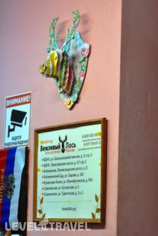 Изображение отеля 13