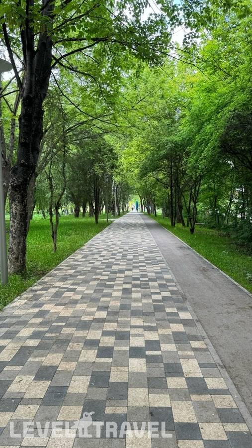 Изображение отеля 12
