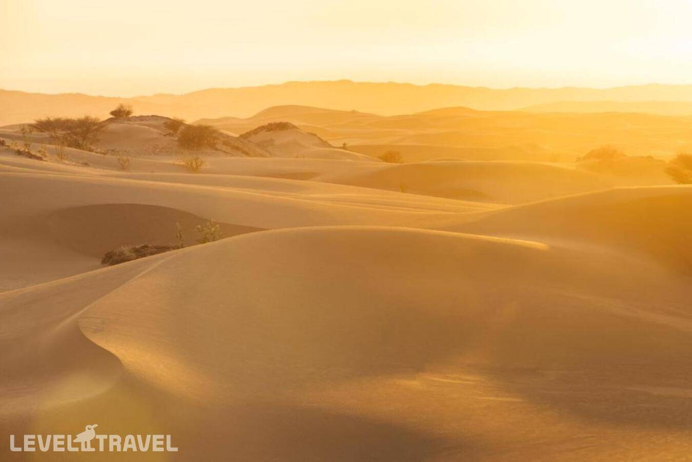 фотографии отеля Six Senses Southern Dunes Red Sea в Саудовская Аравия(Эр-Рияд) - фото №29
