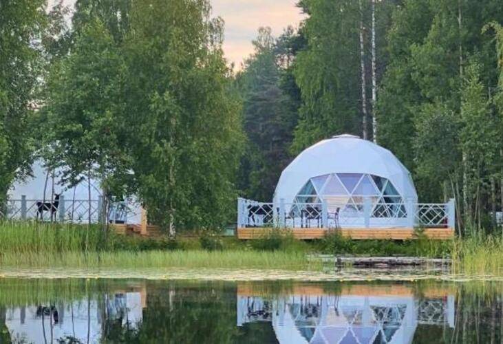 Хвоя. Карелия