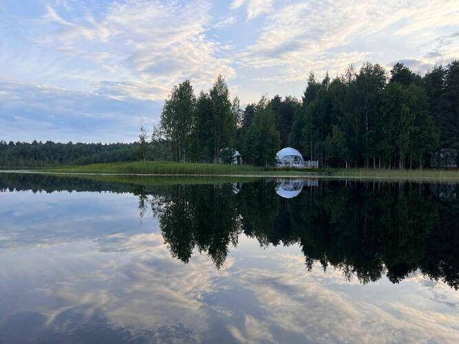 Хвоя. Карелия