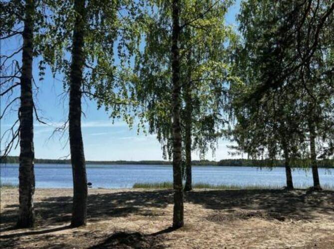 Хвоя. Карелия
