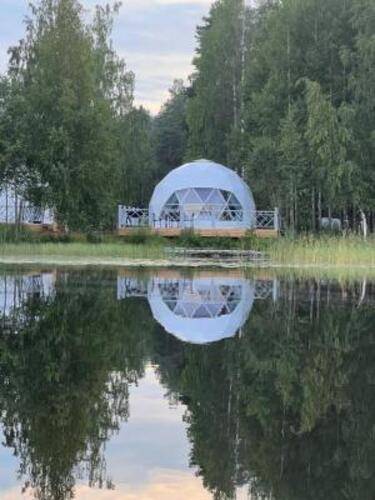 Хвоя. Карелия