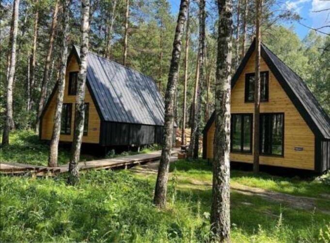 Хвоя. Карелия