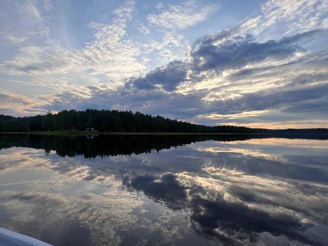 Хвоя. Карелия