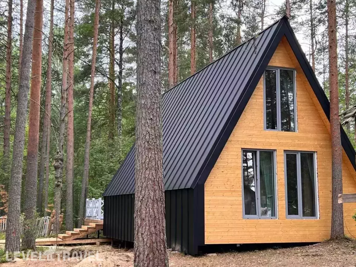 Хвоя. Карелия