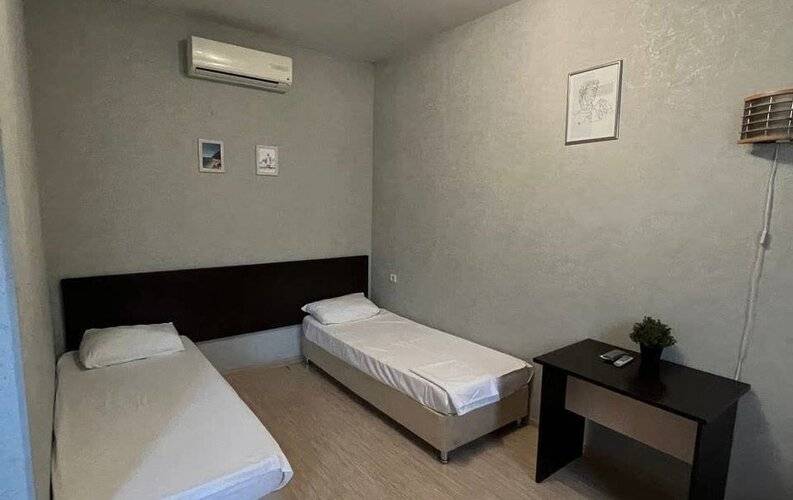 Магнолия Сириус