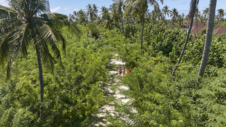 Sun Siyam Romance (Adults Only 16+)