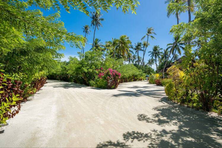 Sun Siyam Romance (Adults Only 16+)