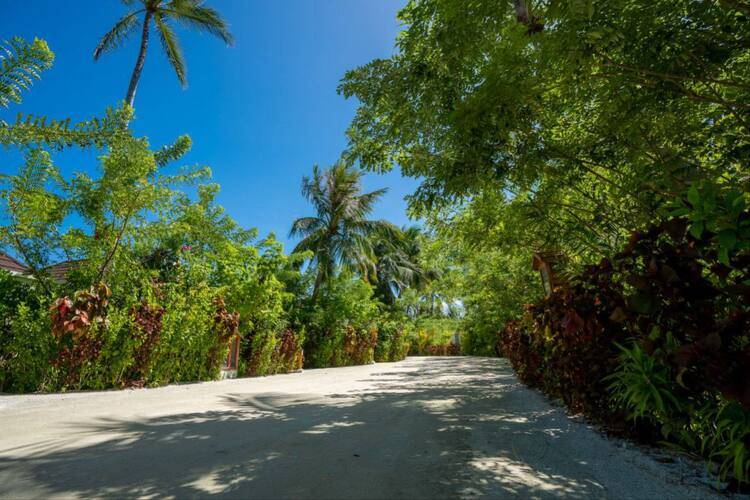 Sun Siyam Romance (Adults Only 16+)
