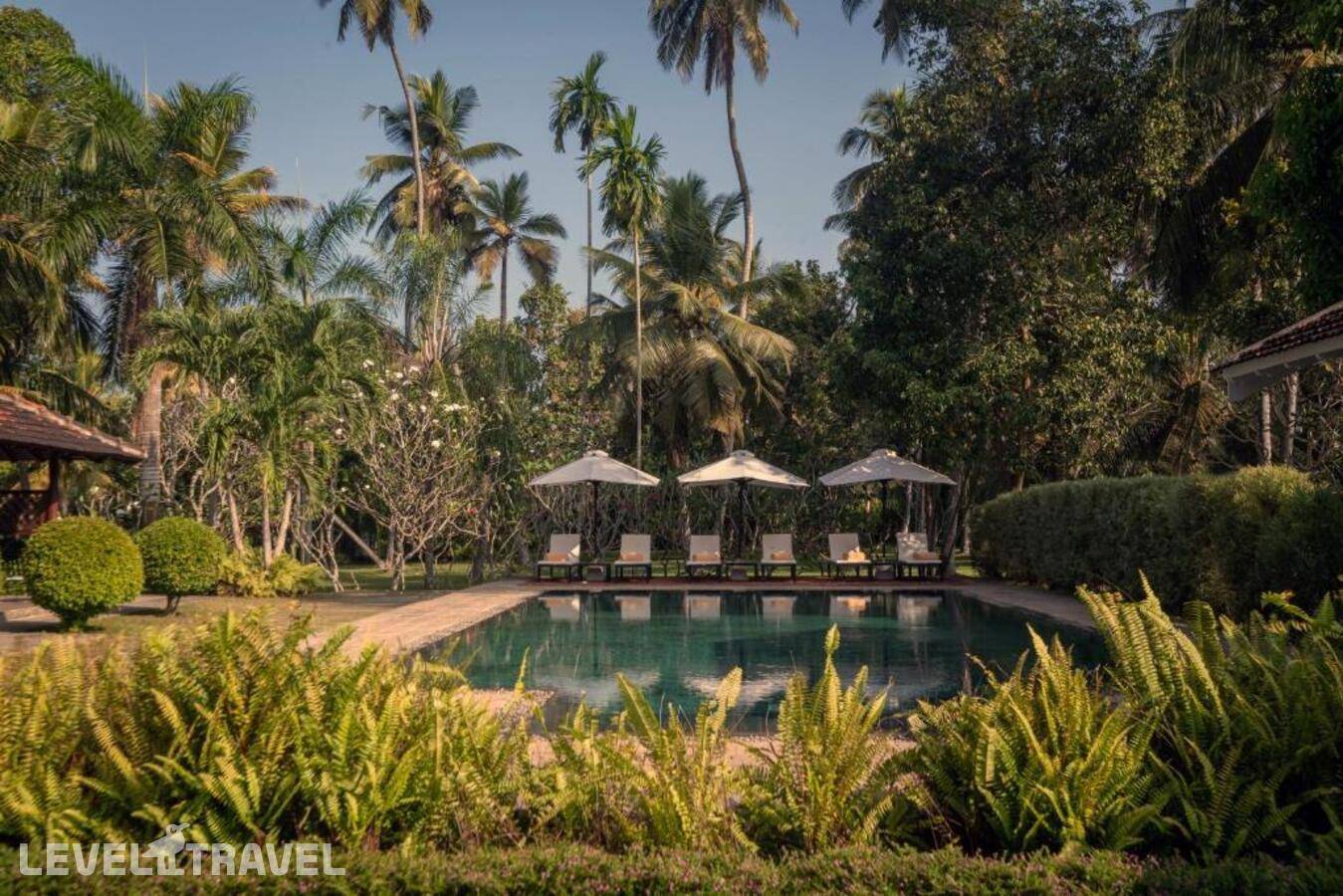 фотографии отеля Uga Riva в Шри-Ланка(Негомбо) - фото №25