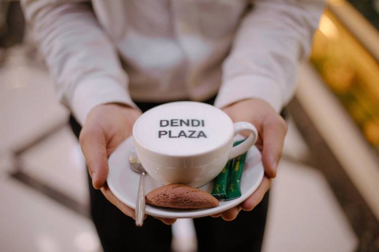 Отель Dendi Plaza