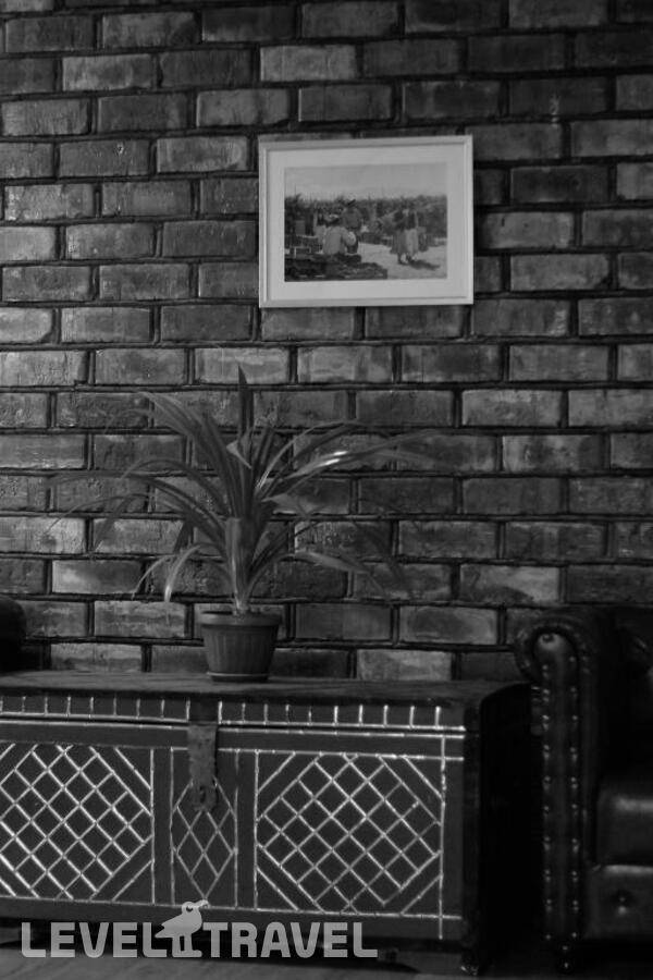 фотографии отеля Olive Hotel Bishkek в Киргизия(Бишкек) - фото №17