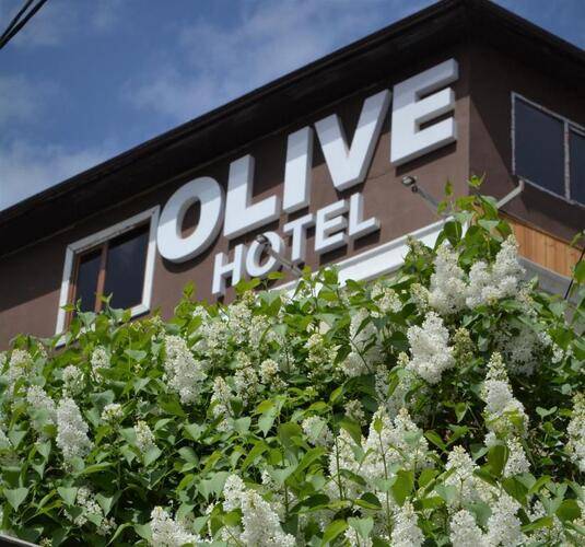 Olive Hotel Bishkek