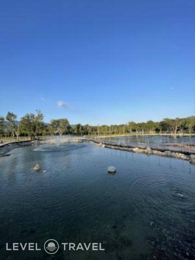 фотографии отеля Большая Черепаха в Россия(Геленджик) - фото №62