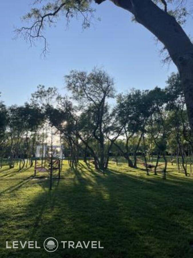 фотографии отеля Большая Черепаха в Россия(Геленджик) - фото №61