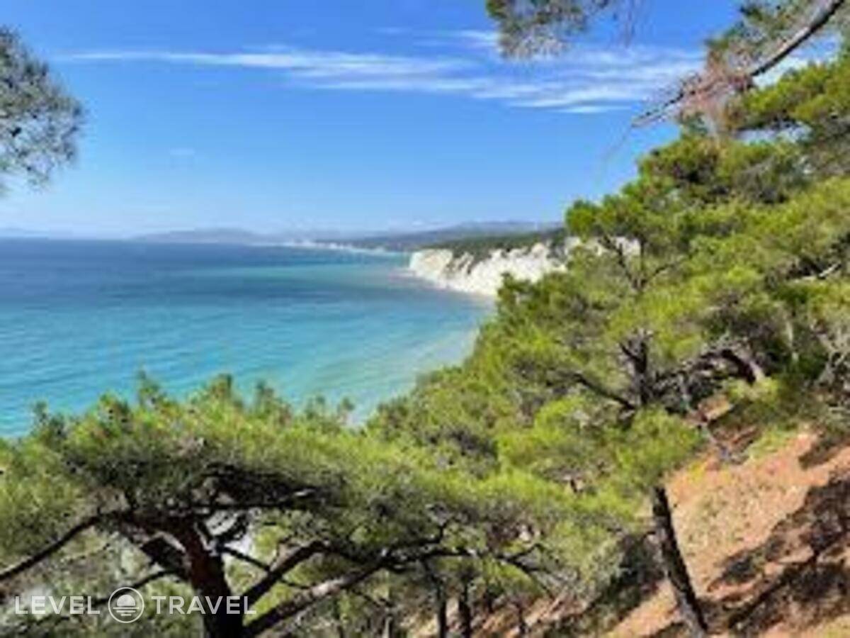 фотографии отеля Большая Черепаха в Россия(Геленджик) - фото №51