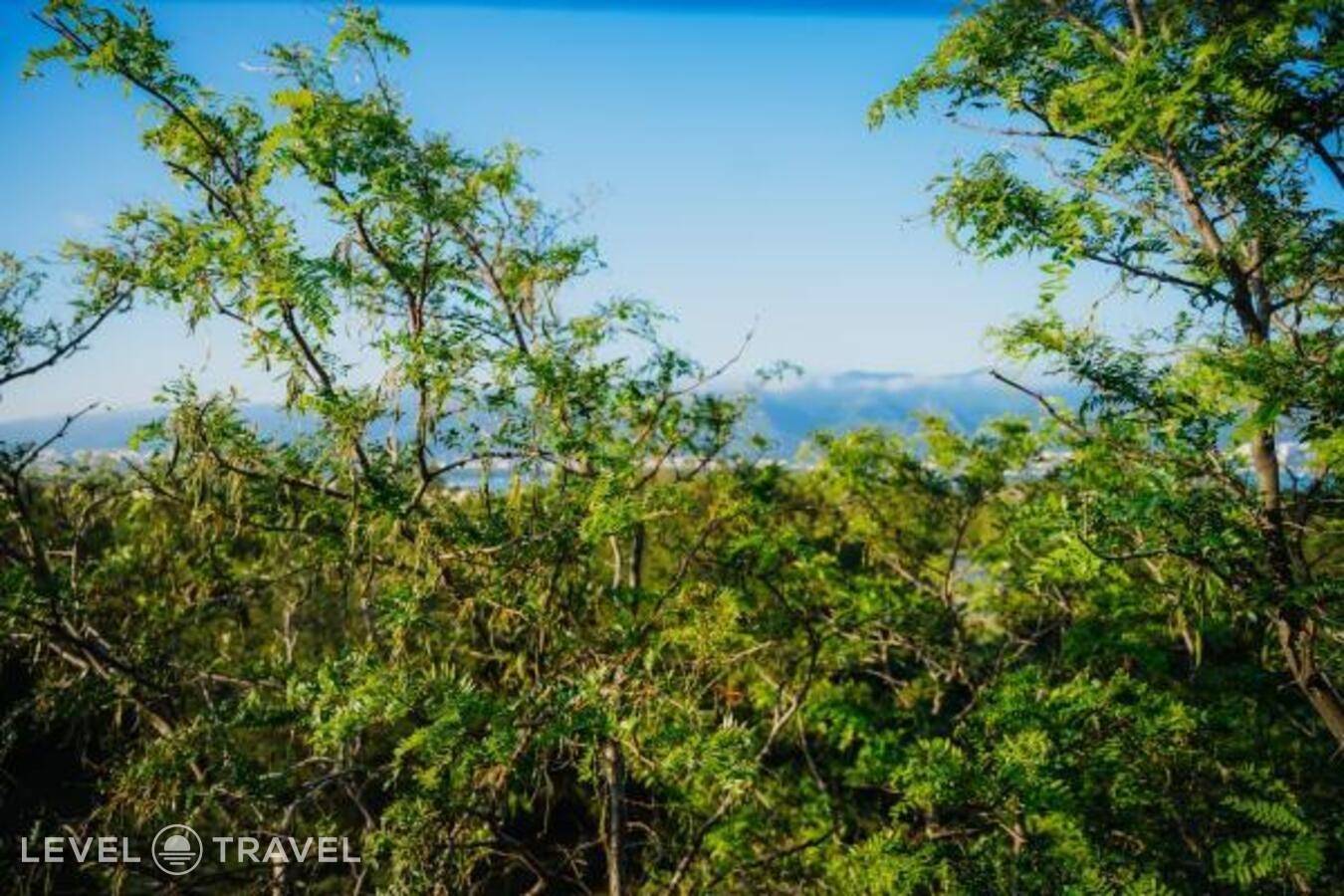 фотографии отеля Большая Черепаха в Россия(Геленджик) - фото №67