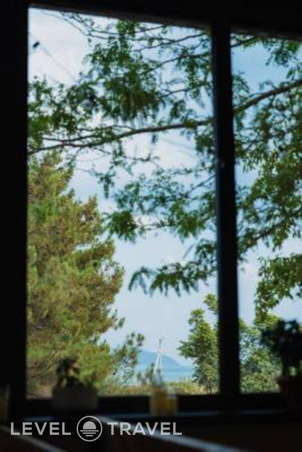 фотографии отеля Большая Черепаха в Россия(Геленджик) - фото №20