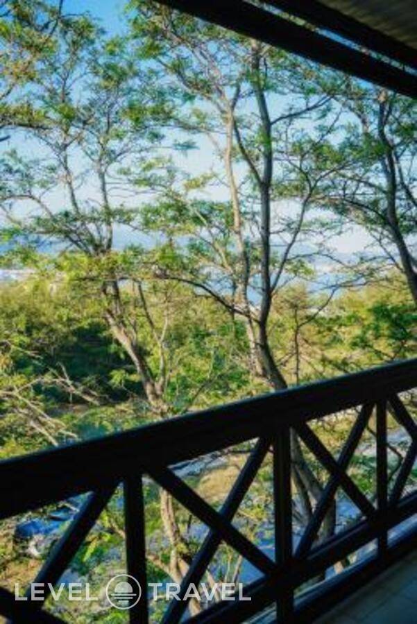 фотографии отеля Большая Черепаха в Россия(Геленджик) - фото №37