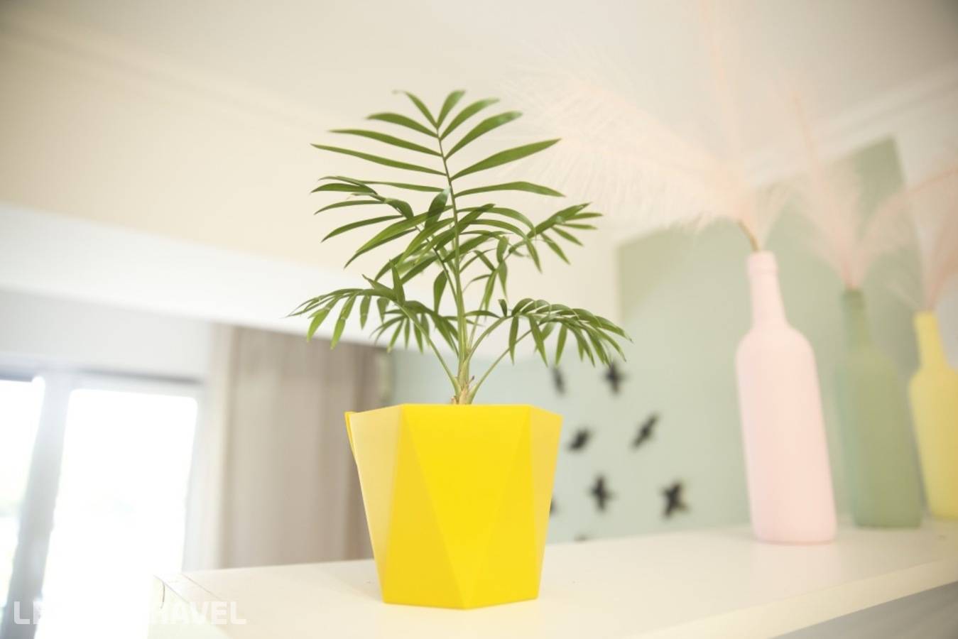 фотографии отеля Adt Norwegian Green в Казахстан(Алматы) - фото №21